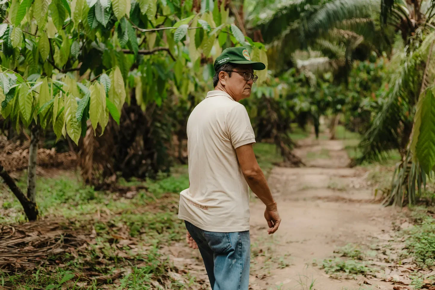 Agroforestry concession in the Peruvian Amazon